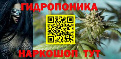 a pvp Шелехов
