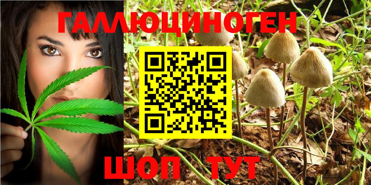 Донецк  Псилоцибиновые грибы Cubensis  Псилоцибиновые грибы Psilocybe  Вход с VPN 